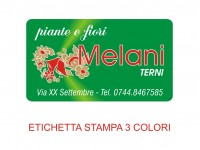 Etichette adesive per fioristi, fiorai e vivaisti (mm 50x28)  (cod.59G)